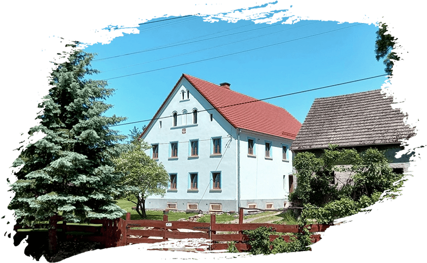 Biała kalina Kaczawy